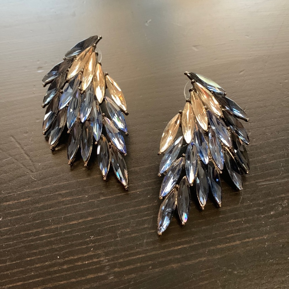 Blue and silver feather like earrings